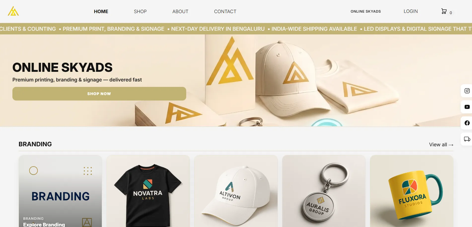 Corporate Web Landing & Authentication Navigation